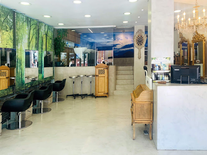 División Peluqueros