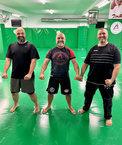 IAM, INSTITUTO DE ARTES MARCIALES