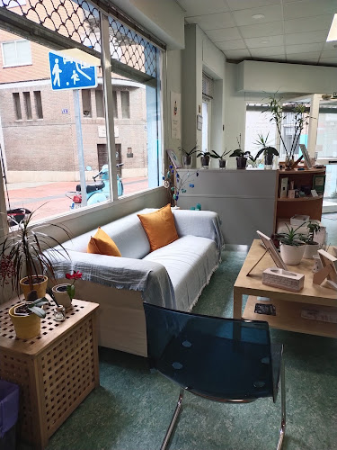 Acupuntura vital Madrid - barrio Salamanca