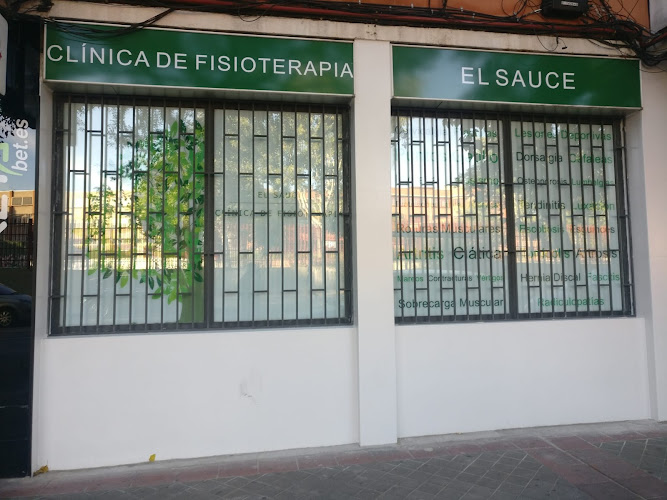 Fisioterapia El Sauce