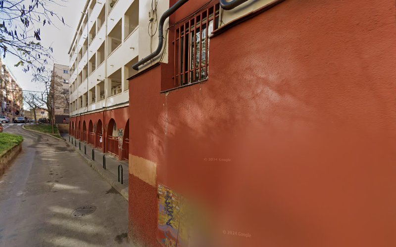 Sandra Teruel Elvira, Fisioterapeuta