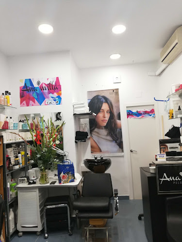 Ana Milla Peluquería