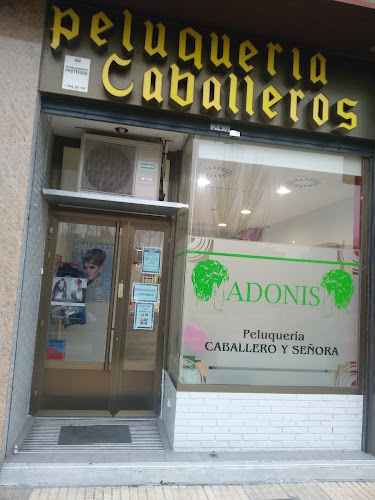 Adonis Peluquería Unisex