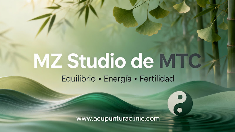 MZ Studio de Terapias Chinas y MTC por Michelle Zapater