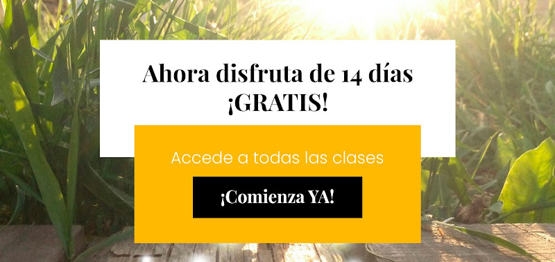 Prabhu Sangat - Escuela de Yoga Online