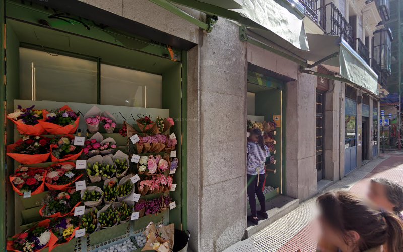 Ainhoa Andrades Carol, Psicólogo