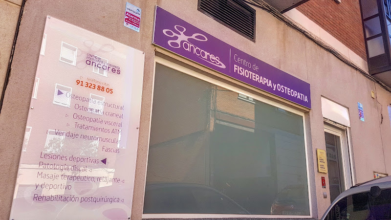 Centro de Fisioterapia y Osteopatía Ancares