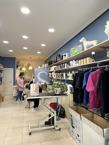 Escuela de Peluquería Canina Mónica Gómez en Madrid - Alonso Cano