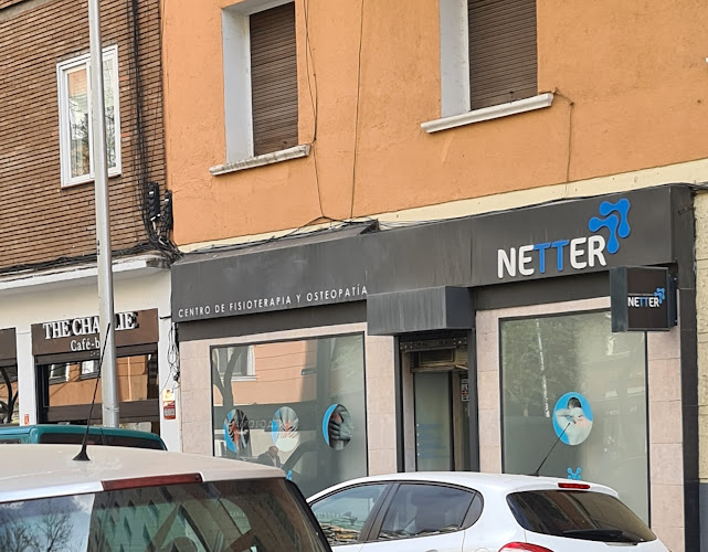 Fisioterapia Netter