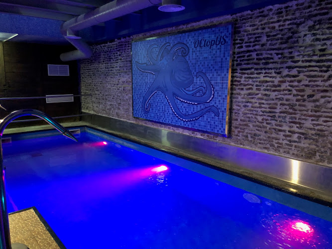 Sauna Octopus