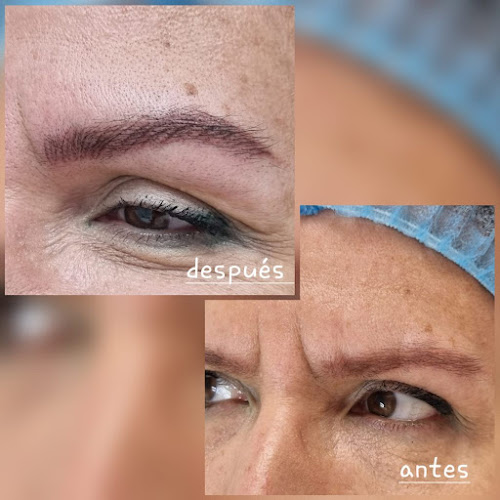 Micropigmentación Madrid - Rocisa Belleza S.L.