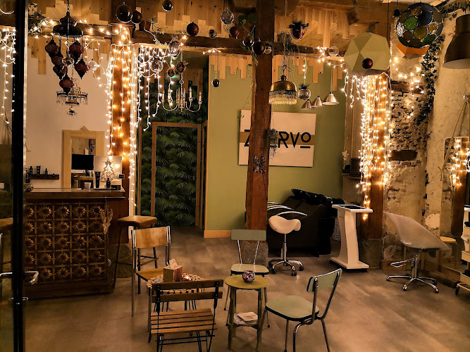 Zhervo Lavapies Peluquería Orgánica