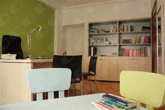 Silvia Guinea Castany, Psicólogo