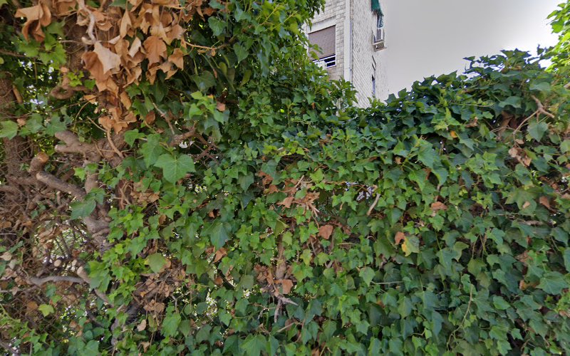 Sonia Macías Sánchez