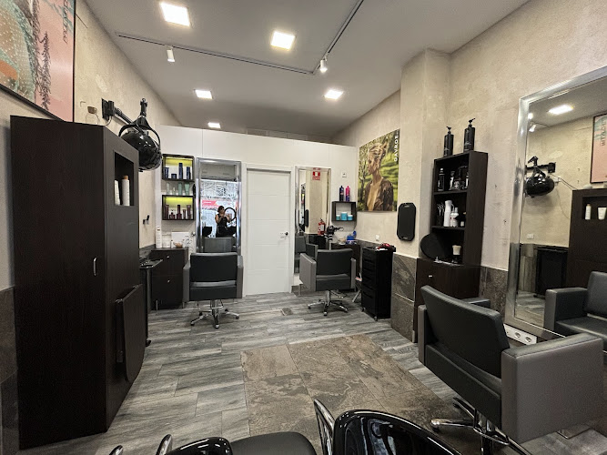 Salón de Peluquería Julia Lázaro