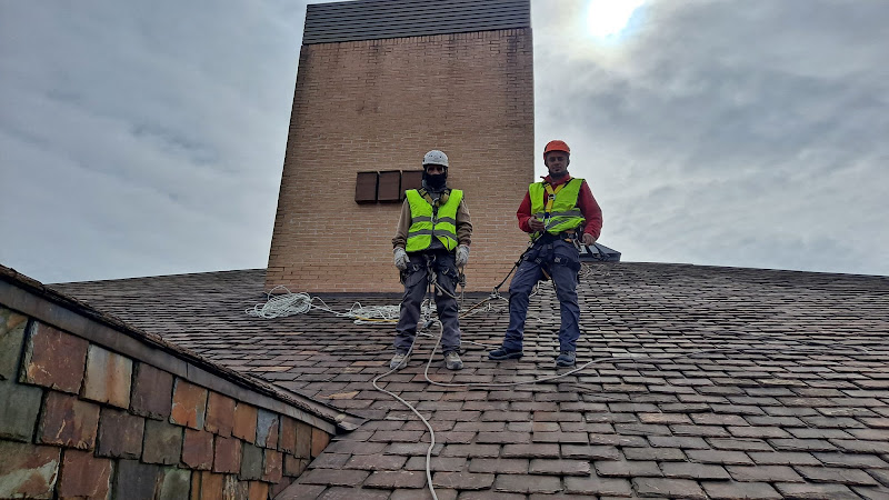 Madrid Vertical Obras Y Servicios Sl